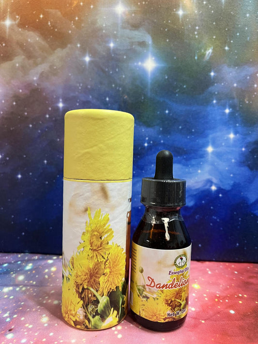 Dandelion Essential Oil