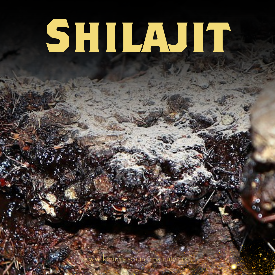 What Is Shilajit Kemetic Science Institute What is shilajit kemetic science institute