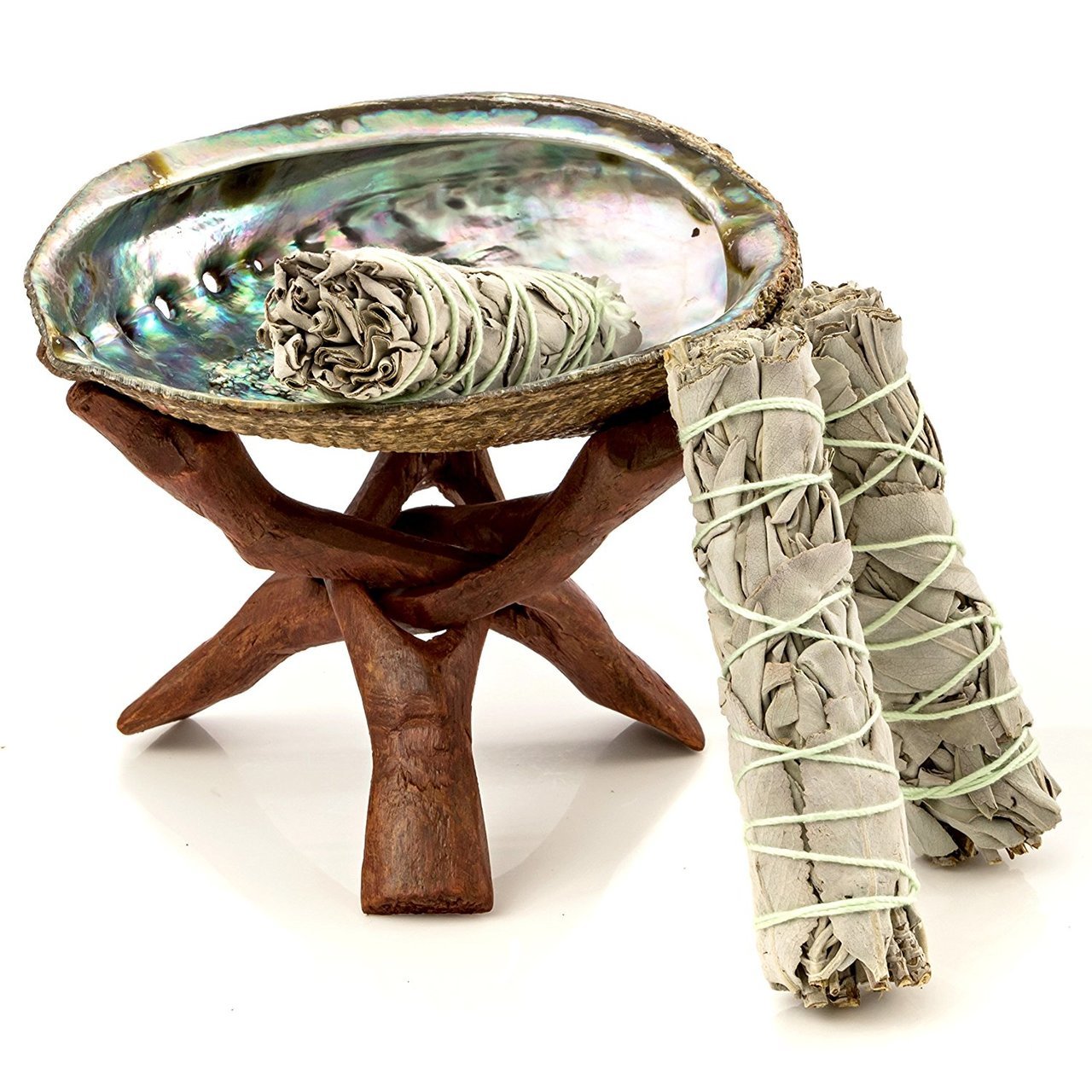 Abalone Shell with Tripod Stand – Kemetic Science Institute